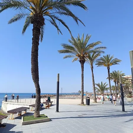 Gery Appartement Torrevieja